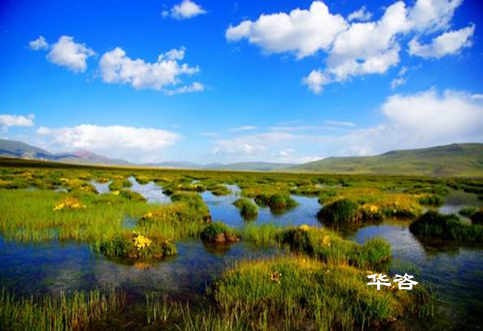 長沙水土保持？湖南省水土保持編制專業(yè)公司_10年專注水土保持報(bào)告的編制。